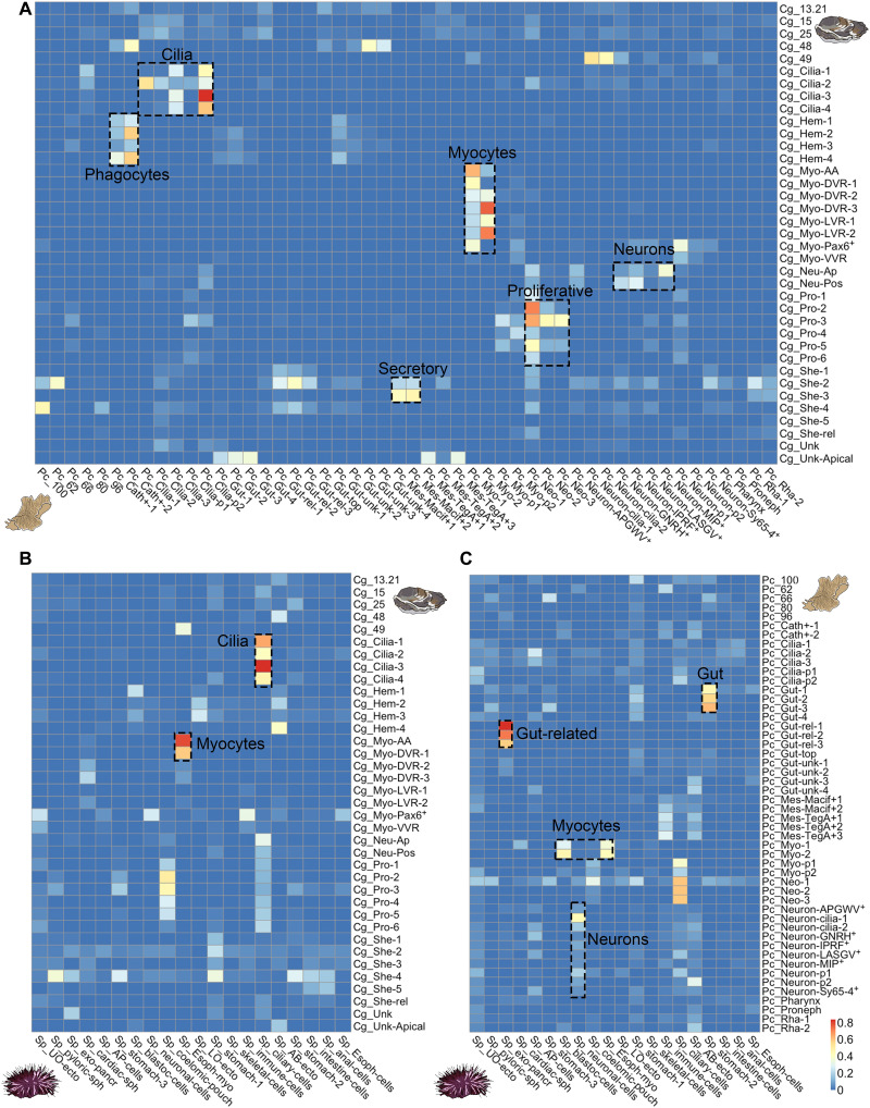 Fig. 6.