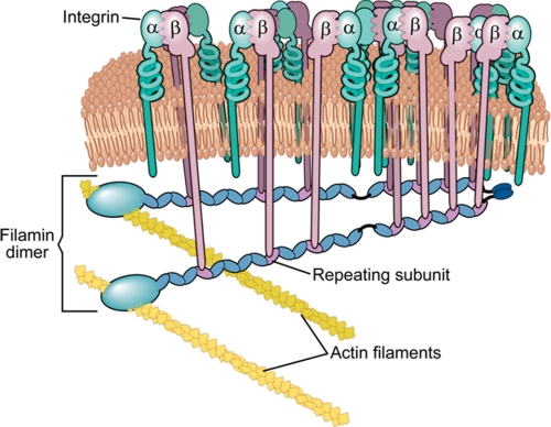 FIGURE 9.