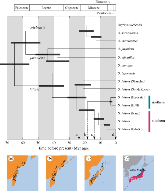 Figure 2.