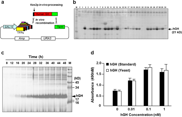 Figure 7