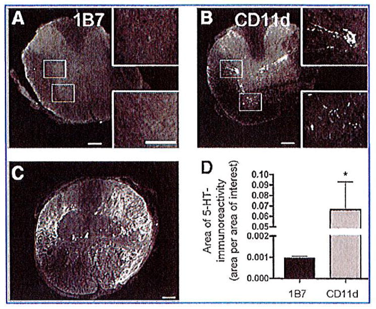 FIG. 9