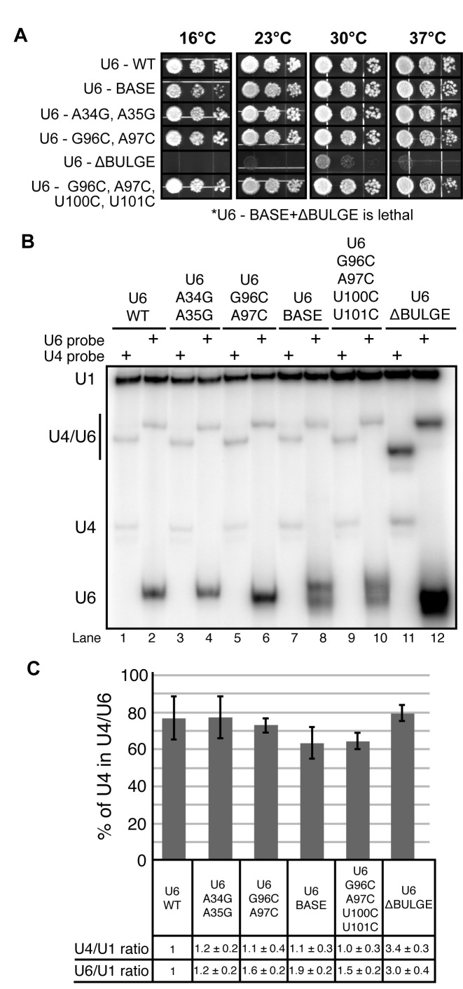 Figure 6.