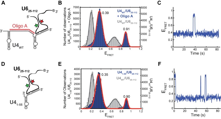 Figure 5.