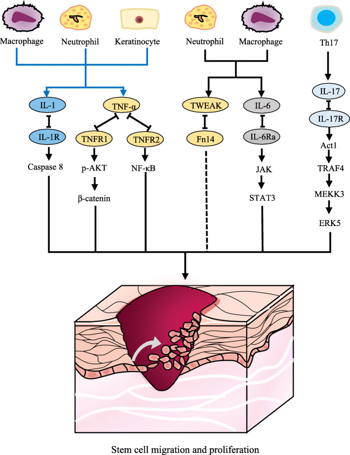 Fig. 2