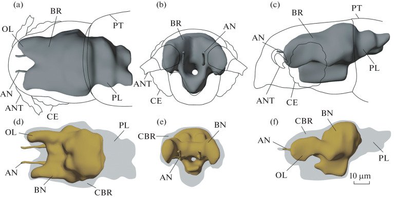 Fig. 1. 