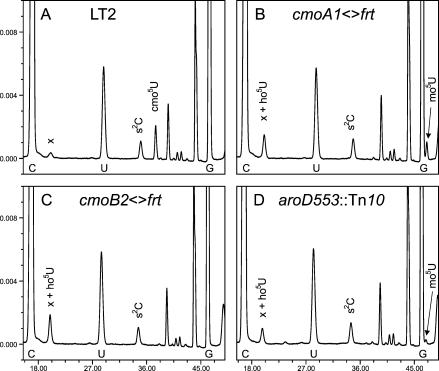 FIGURE 5.