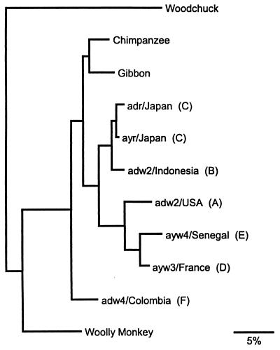 Figure 5