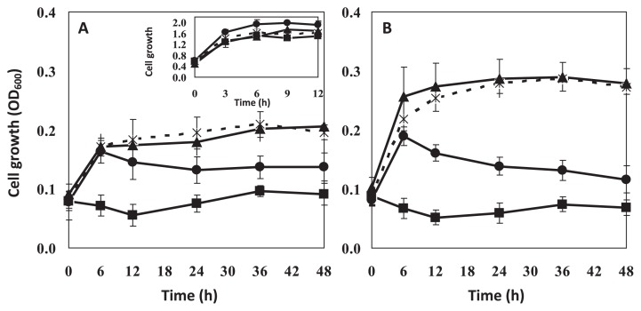 Fig. 5