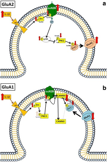 Fig. 6