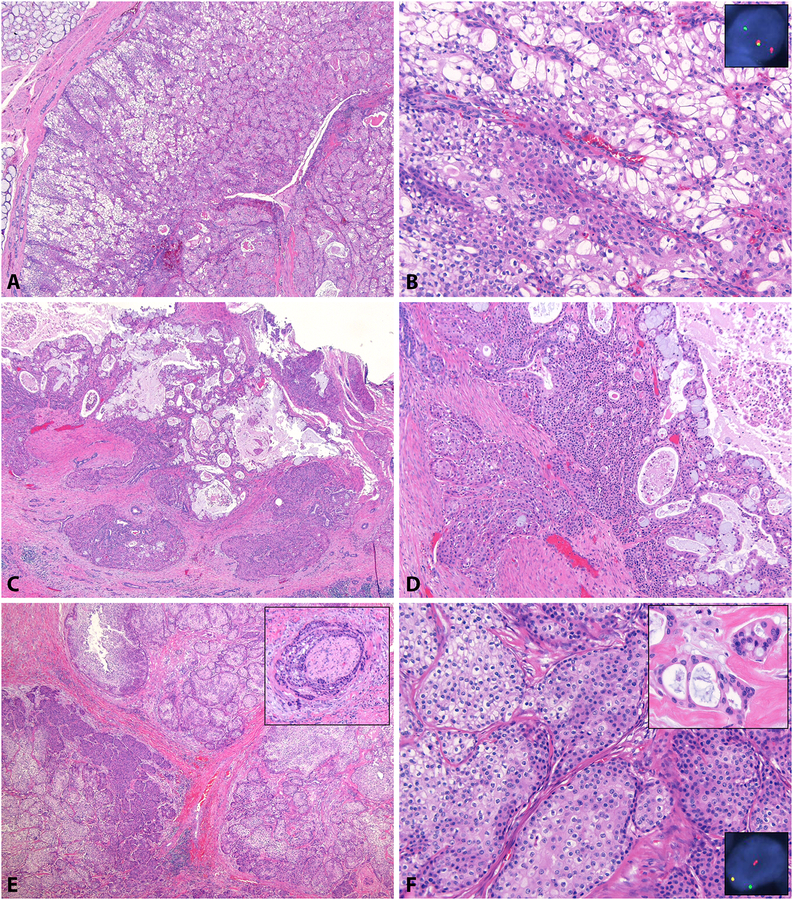 Figure 2: