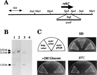 FIG. 5
