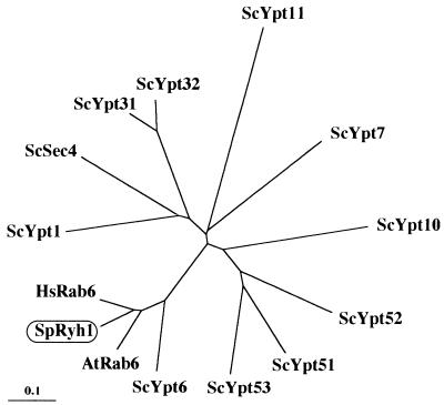 FIG. 7