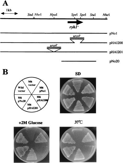 FIG. 4