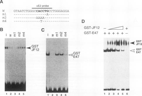 graphic file with name molcellb00009-0092-a.jpg