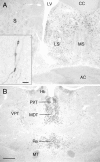 F<sc>ig</sc>. 1.