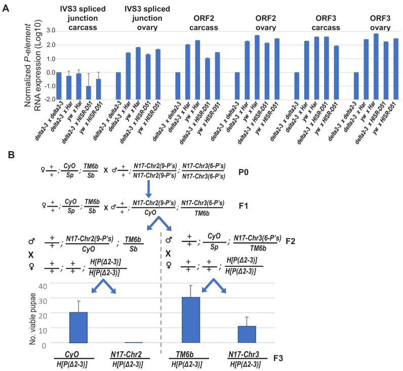 Figure 7—figure supplement 2.