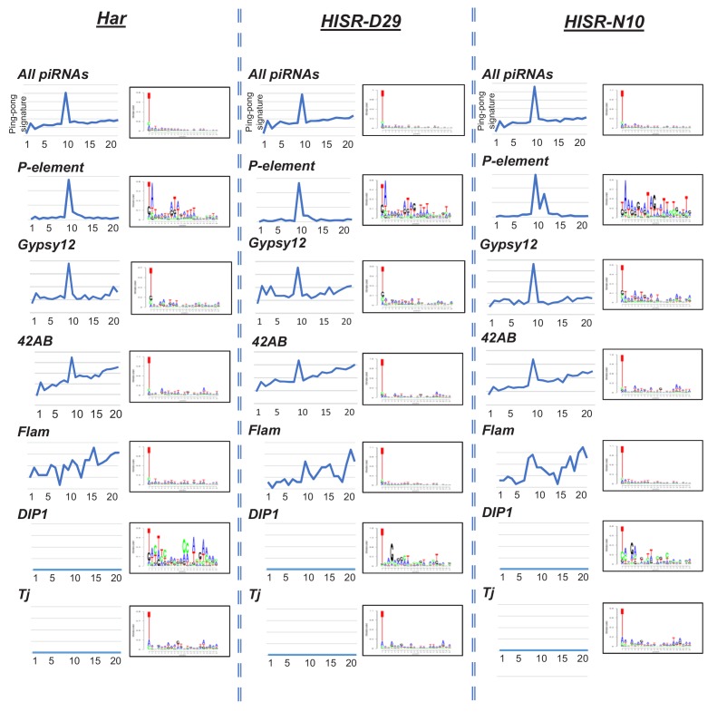 Figure 3—figure supplement 2.