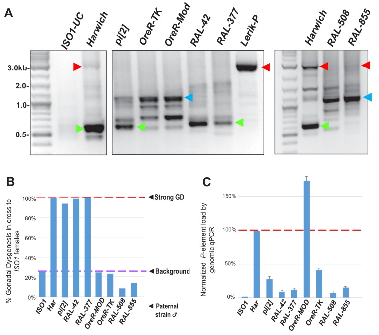 Figure 5—figure supplement 2.