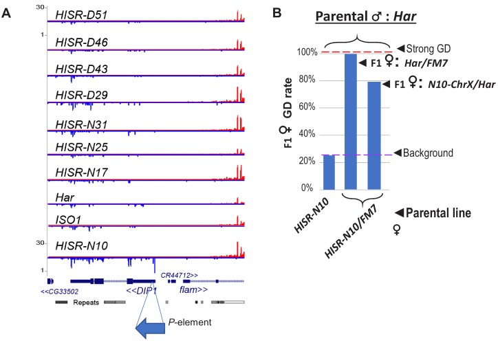 Figure 3—figure supplement 1.