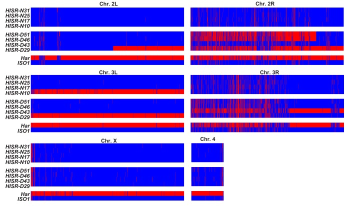 Figure 4—figure supplement 1.