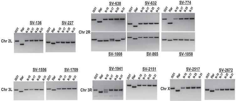 Figure 2—figure supplement 2.