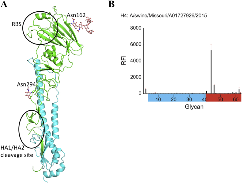 Figure 6