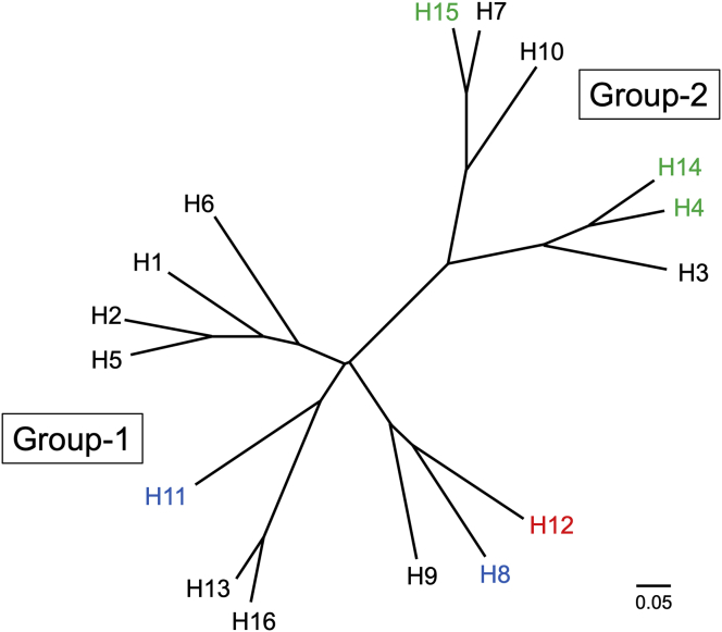 Figure 1