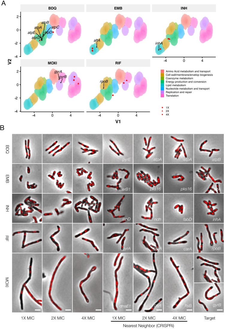 Figure 10.