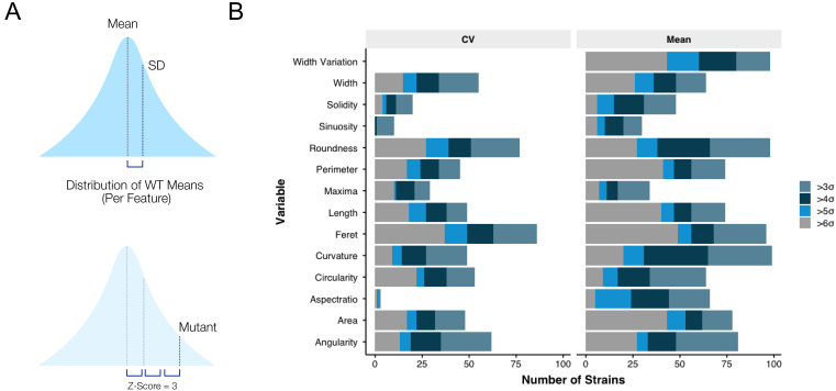 Figure 4—figure supplement 1.