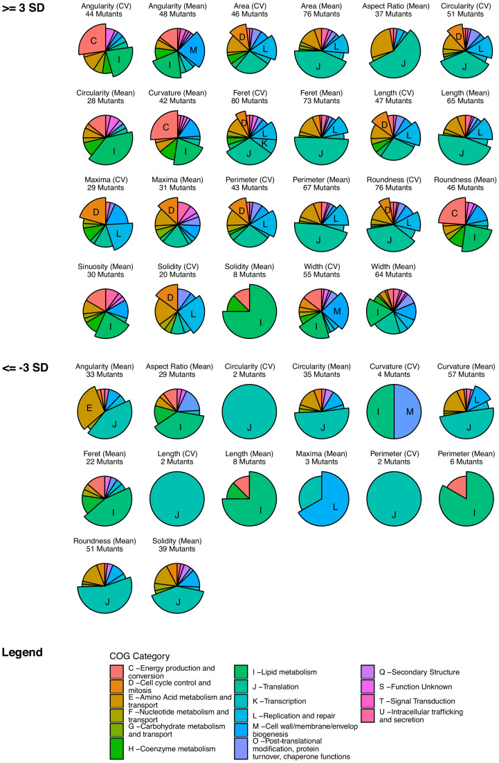 Figure 4—figure supplement 2.