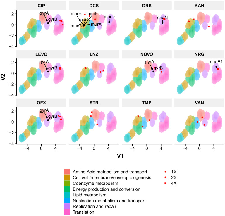 Figure 10—figure supplement 1.