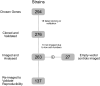 Figure 1—figure supplement 1.
