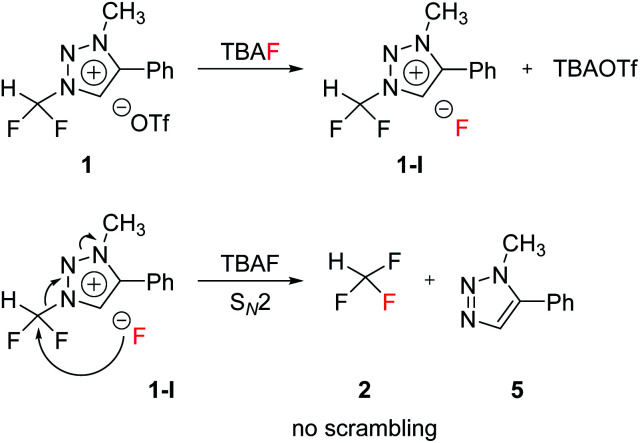 Scheme 2