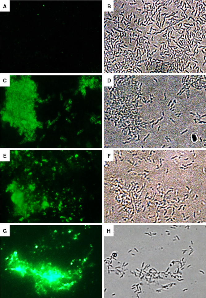 Figure 6