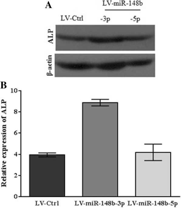 Fig. 5