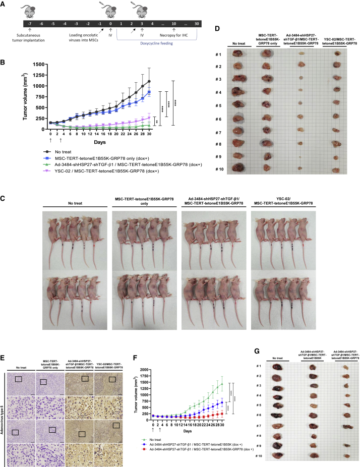 Figure 7