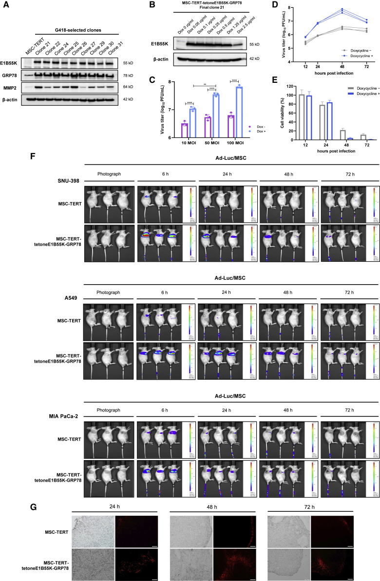 Figure 6