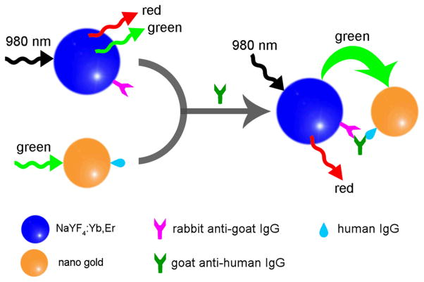 Figure 14