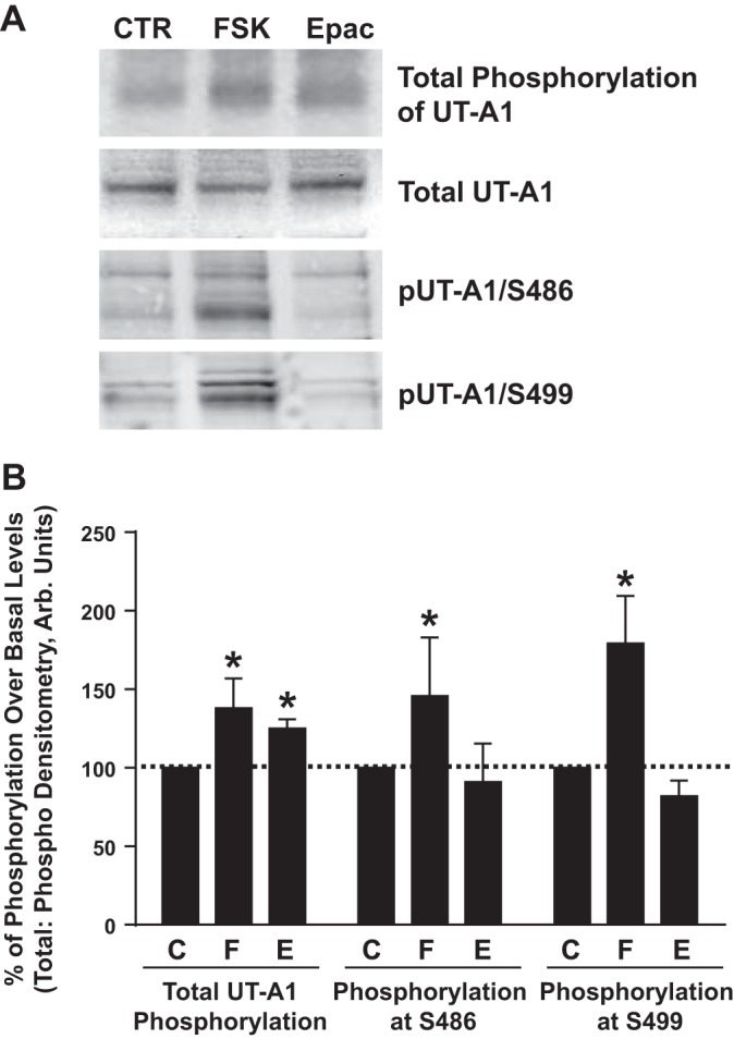 Fig. 8.