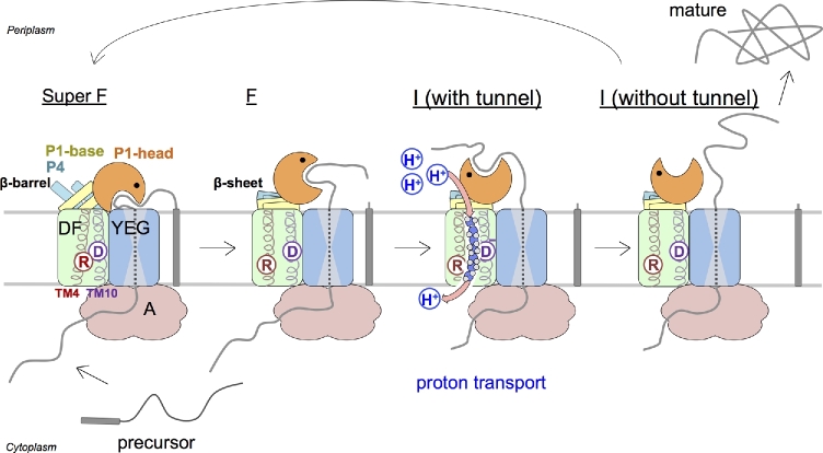 Figure 6.