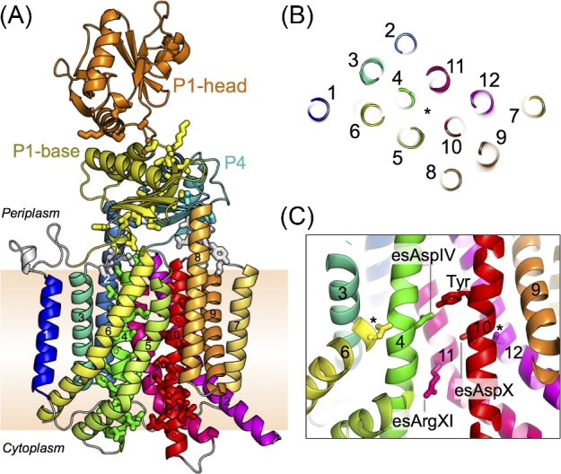 Figure 2.