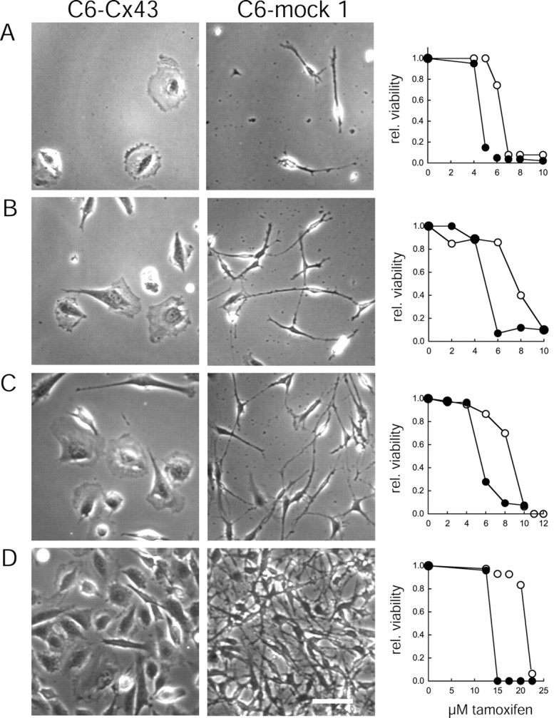 Fig. 8.