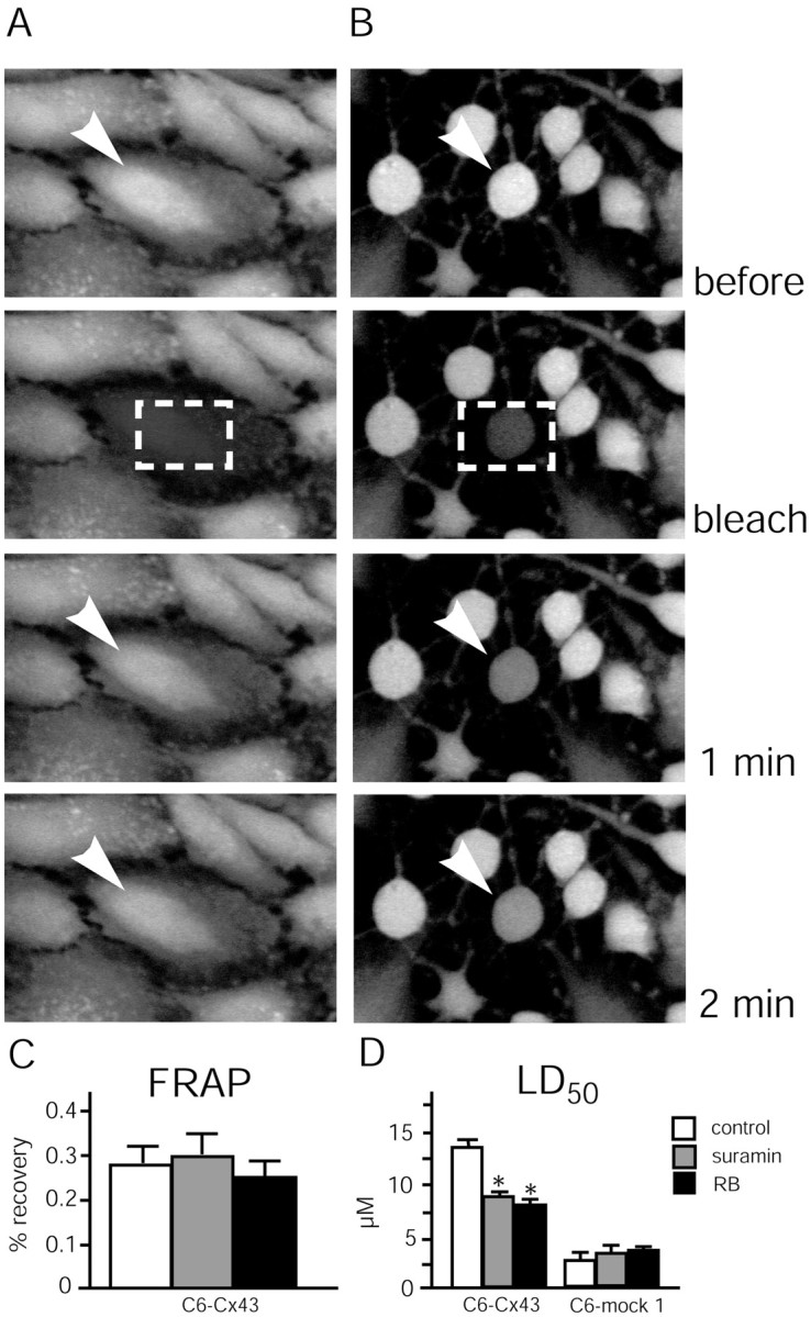 Fig. 11.