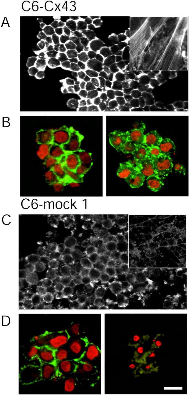 Fig. 10.