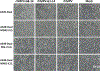 Extended Data Fig.9