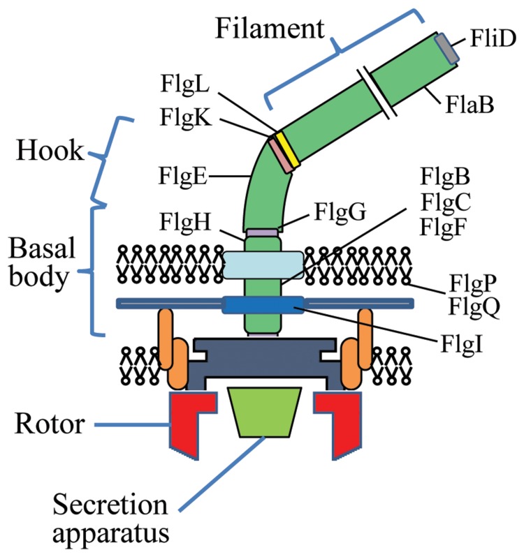 Fig. 3.