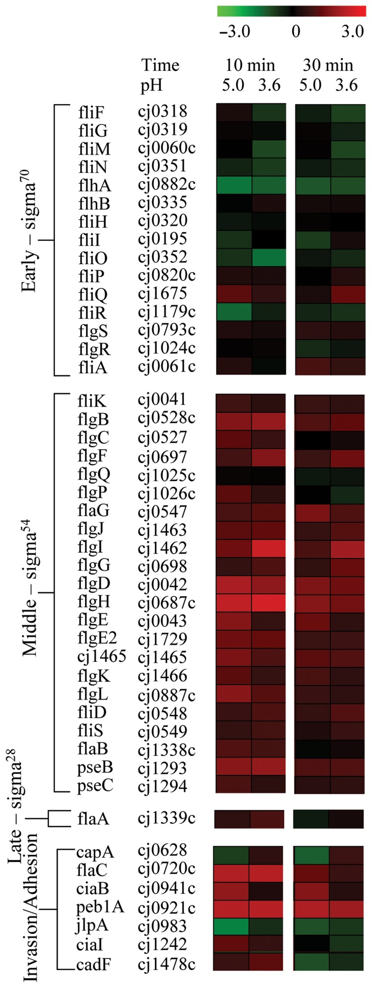 Fig. 2.