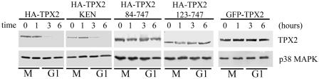 FIG. 7.