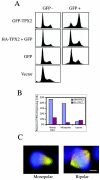 FIG. 8.