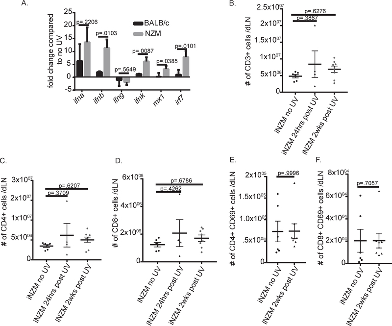 Figure 4: